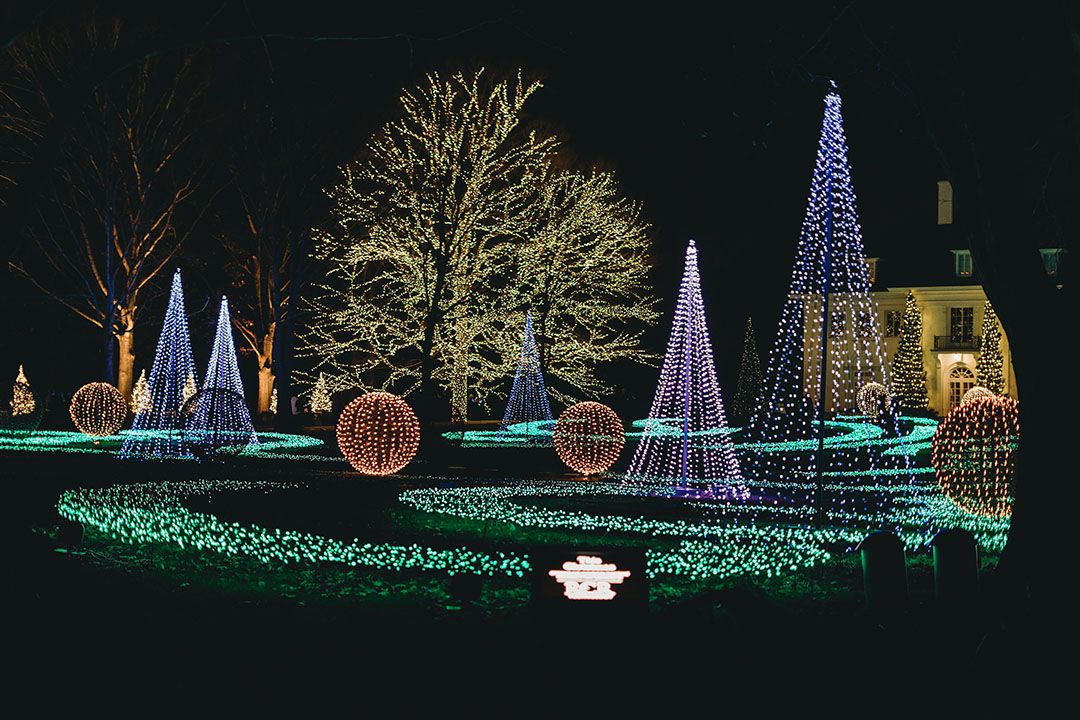 Exterior landscaping Christmas lights. White, green, purple, red.