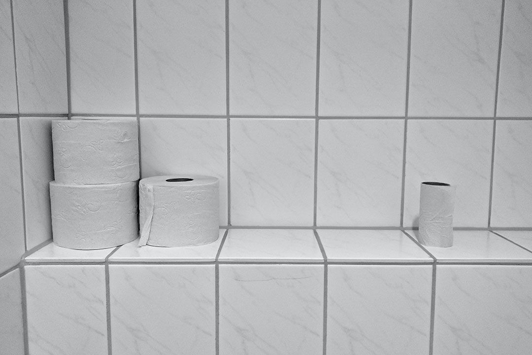 4 rolls of toilet paper, varying size, sitting on a white tile shelf.
