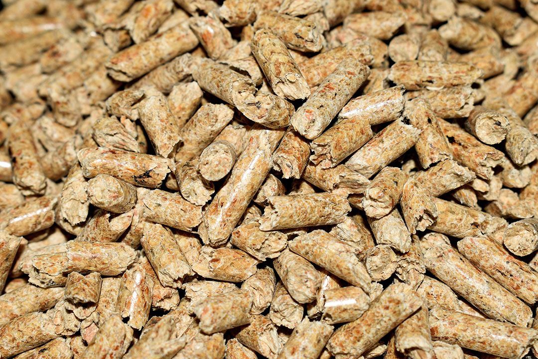 Closeup of compressed wood pellets designed to be burned in pellet stoves.