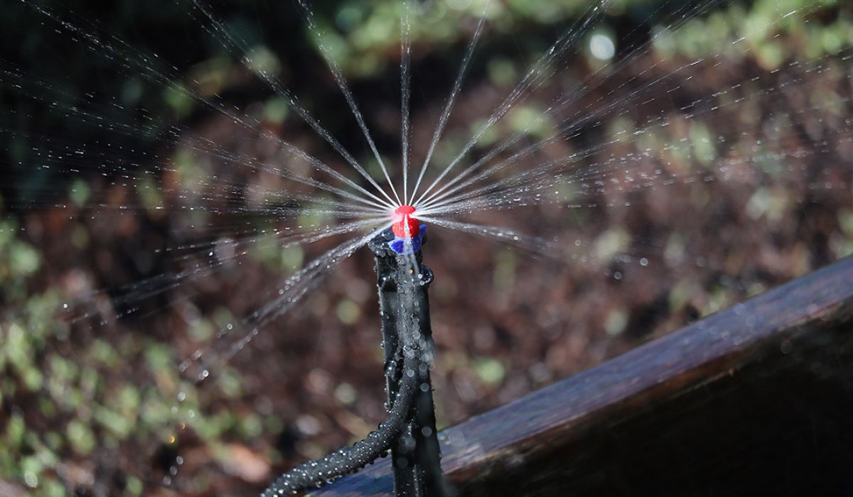 A close-up of a sprinkler head spraying water on a garden.